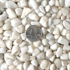 Midwest Hearth galets blancs polis surface polie avec cire pour couleur éclatante
