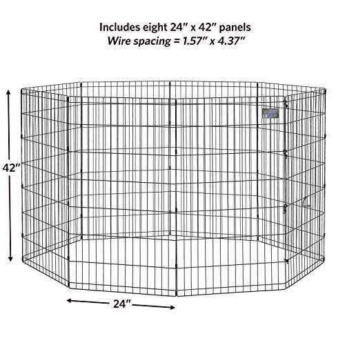 Hauteur de 42 pouces du MidWest, idéal pour chien actif et sauts maîtrisés.