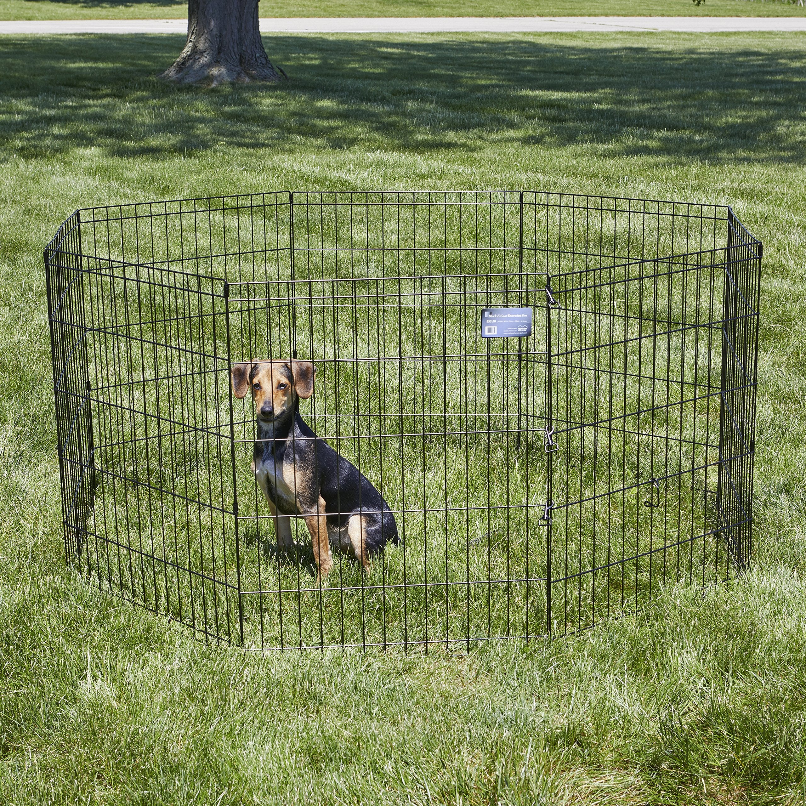 MidWest Homes for Pets montage sans outil: déploiement rapide et facile