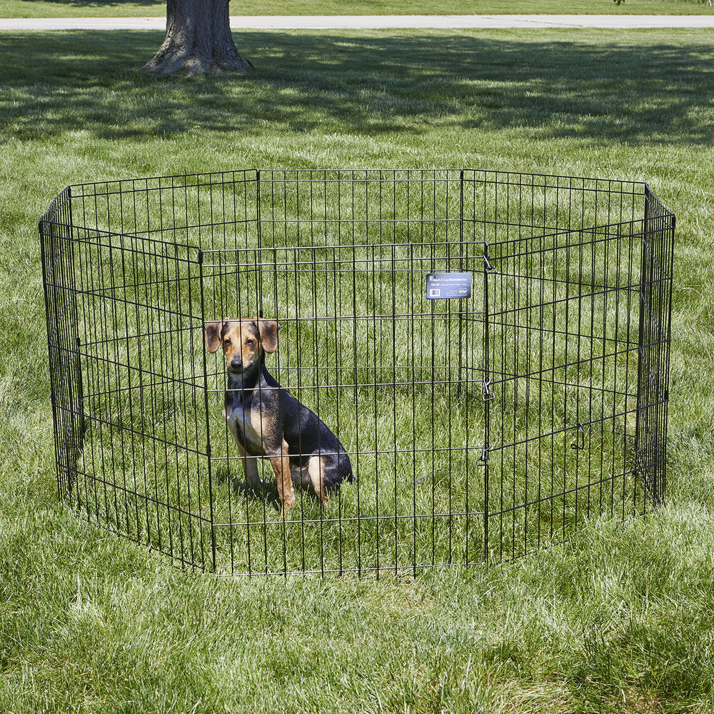 MidWest Homes for Pets montage sans outil: déploiement rapide et facile