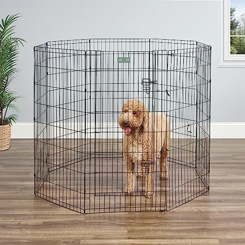 MidWest Homes for Pets – Paw Block et verrouillage pour empêcher les sorties.