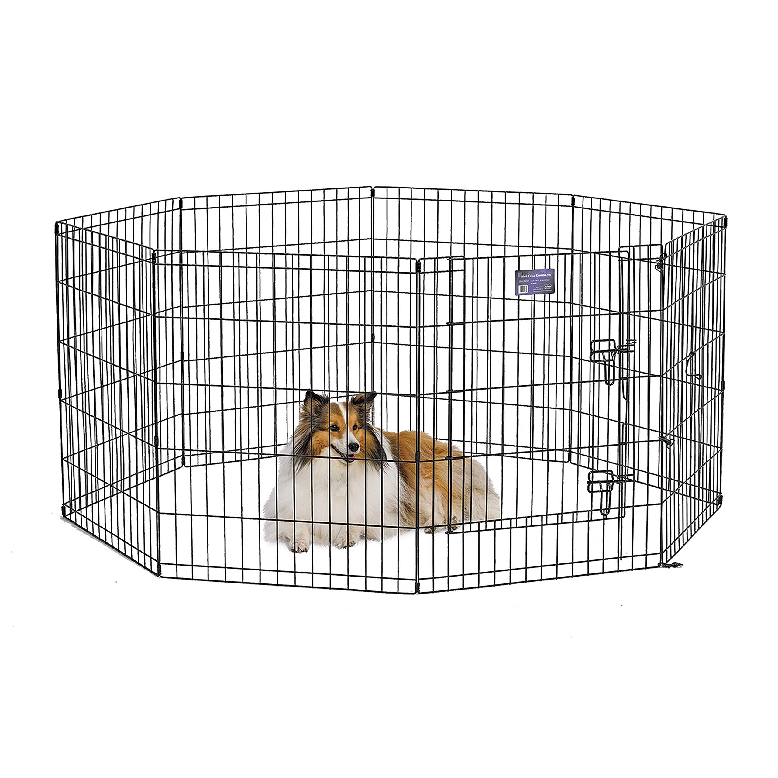 MidWest Homes for Pets enclos d'exercice 30 pouces: panneaux connectés pour espace de jeu sûr