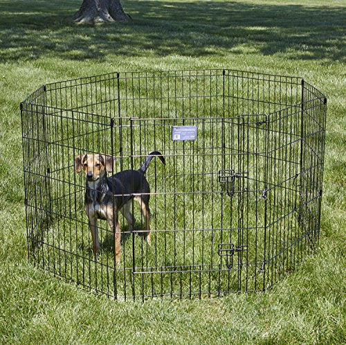 MidWest Homes for Pets enclos: porte large et pratique pour faciliter l'accès du chien