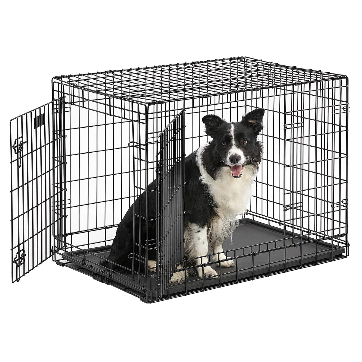 Cage Ultima Pro 36 pouces: vue avant, installation facilitée.