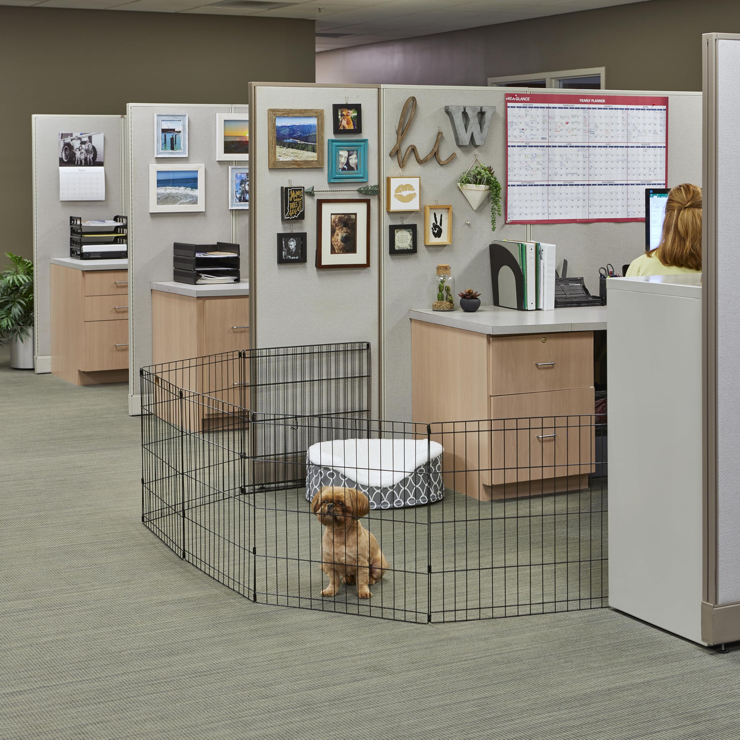 MidWest Homes for Pets utilisation intérieure et extérieure: enclos polyvalent