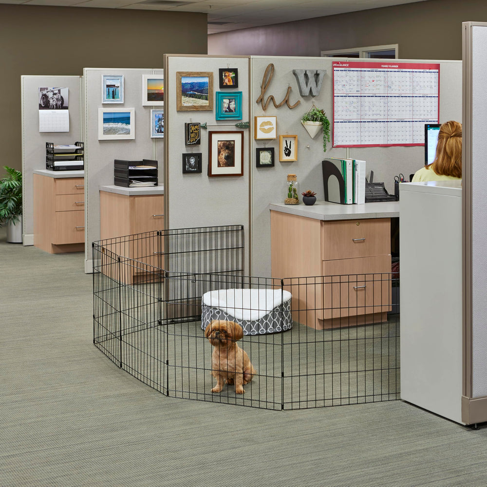 MidWest Homes for Pets utilisation intérieure et extérieure: enclos polyvalent