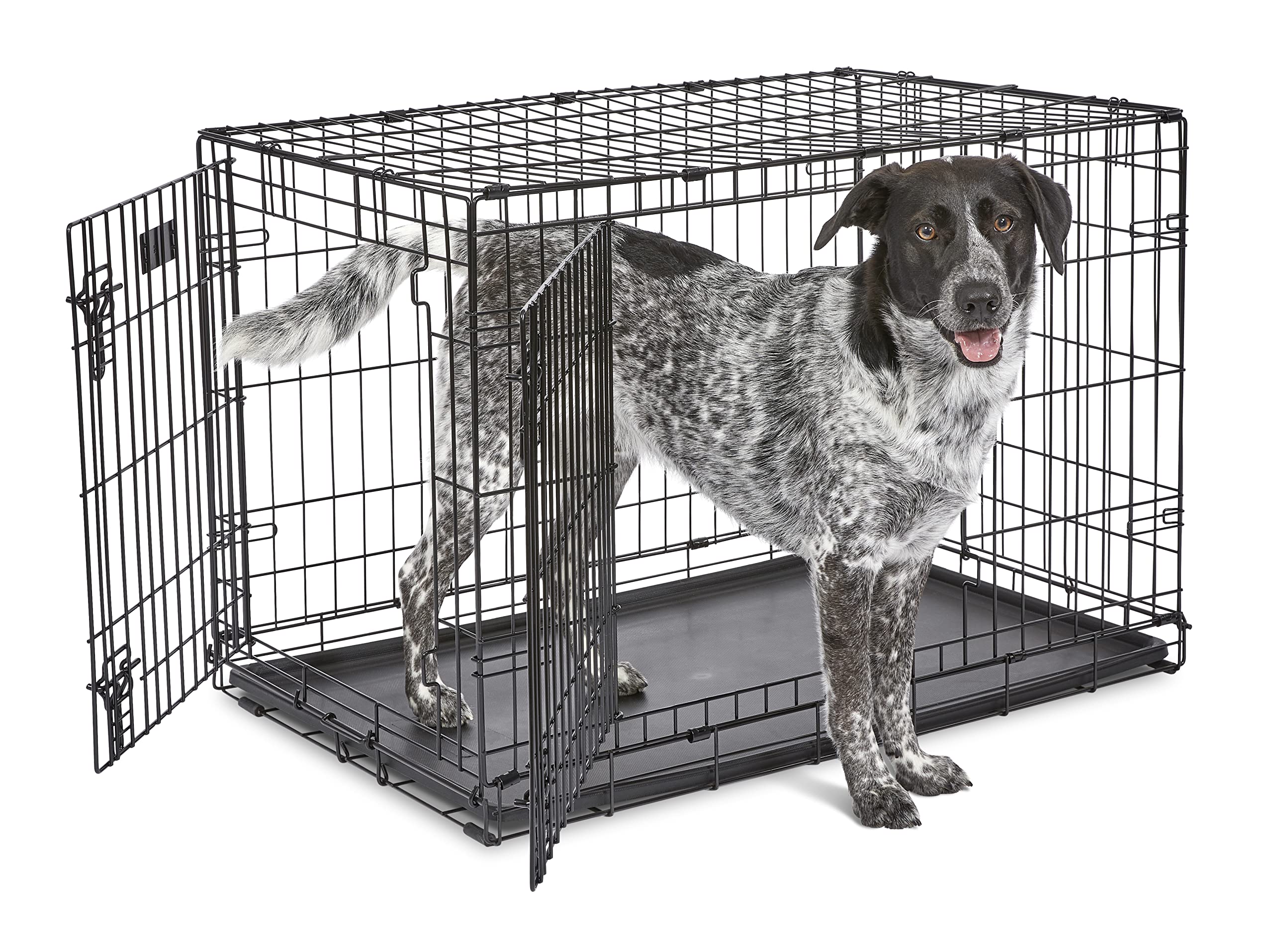MidWest iCrate porte-double: accès facile et sécurité renforcée pour votre chien.