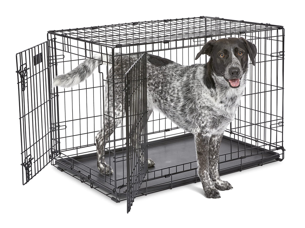 MidWest iCrate porte-double: accès facile et sécurité renforcée pour votre chien.