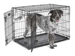 MidWest iCrate porte-double: accès facile et sécurité renforcée pour votre chien.