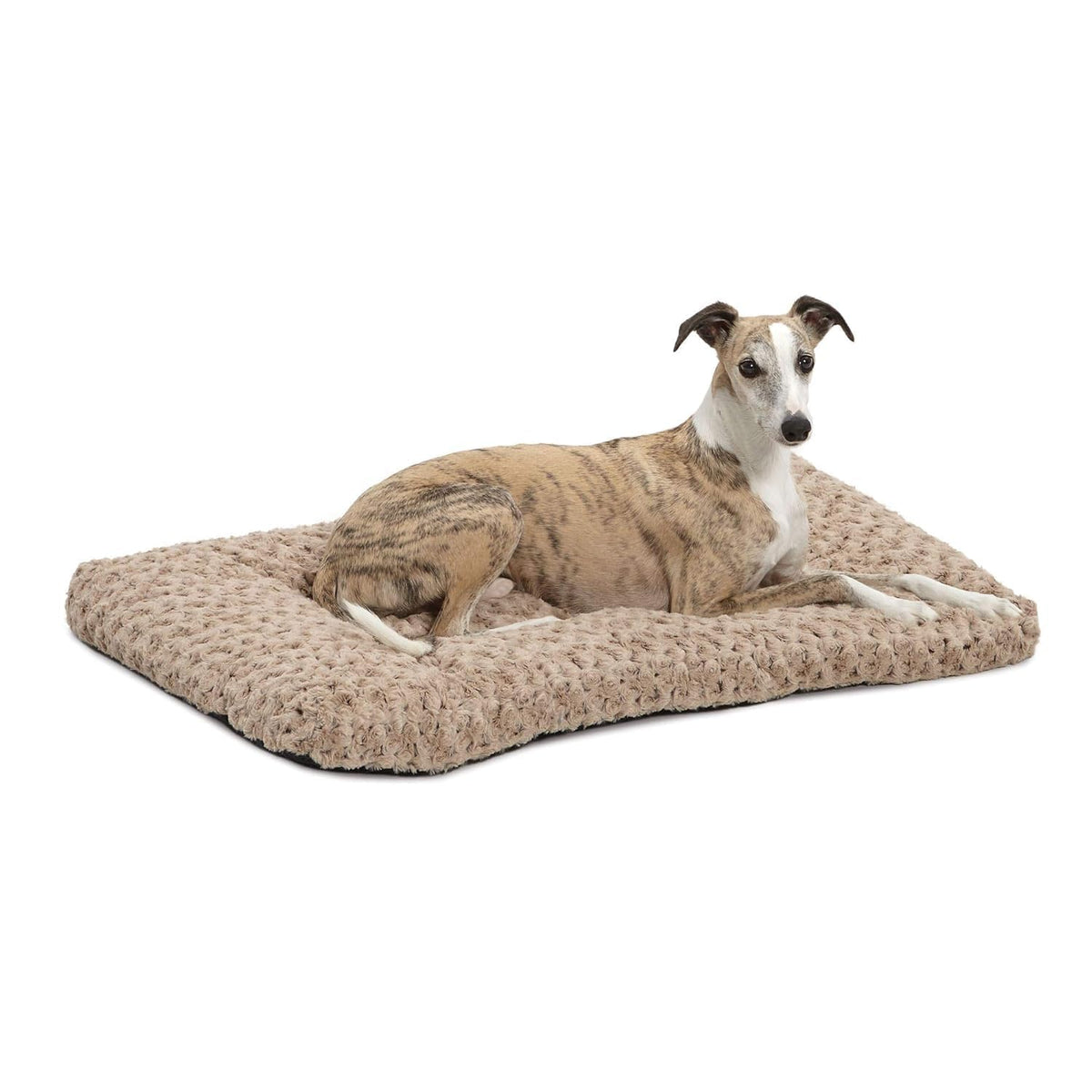MidWest QuietTime Deluxe Ombré Swirl, vue du coussin doux pour cage 36 pouces, repos optimal.