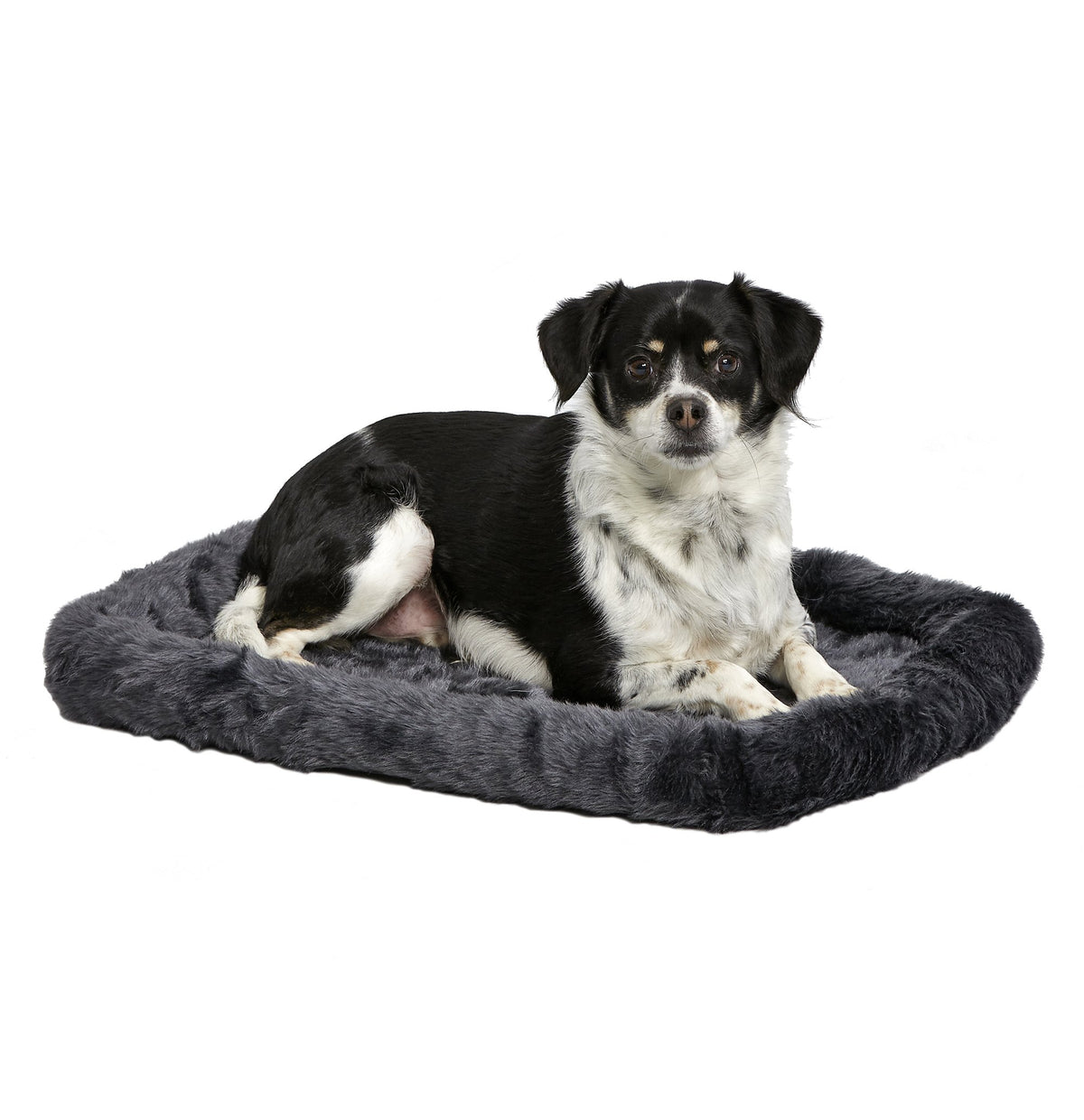 MidWest QuietTime lit chien gris avec bolsters, confort douillet pour petites races.