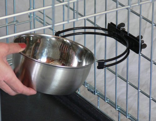 Bol inox Snap'y Fit 2 quarts prêt à nourrir ou hydrater.