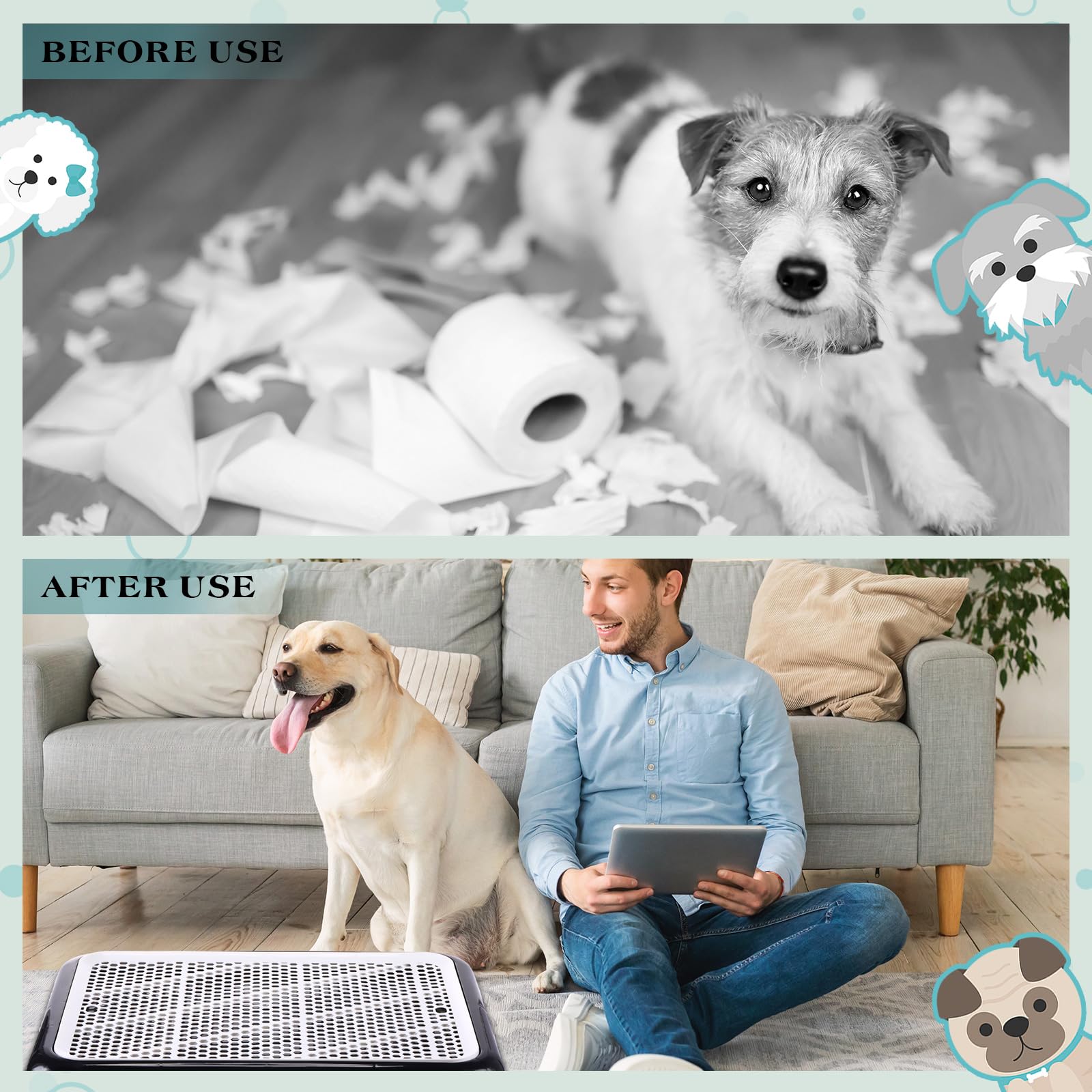 Mifoci entree-faible-accessibilite: accès facilité pour petits chiens et chiens seniors.