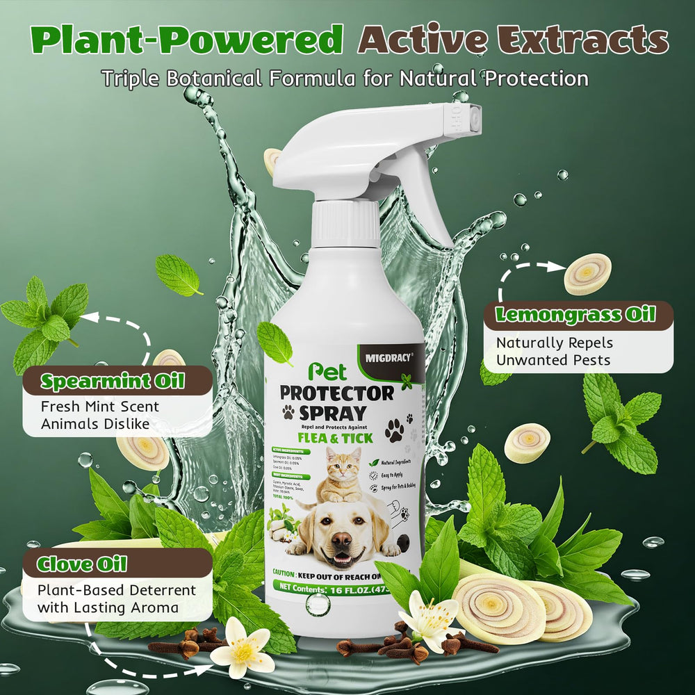 Migdracy Literie Chiens Chats: spray sur literie pour le confort et l’hygiène.