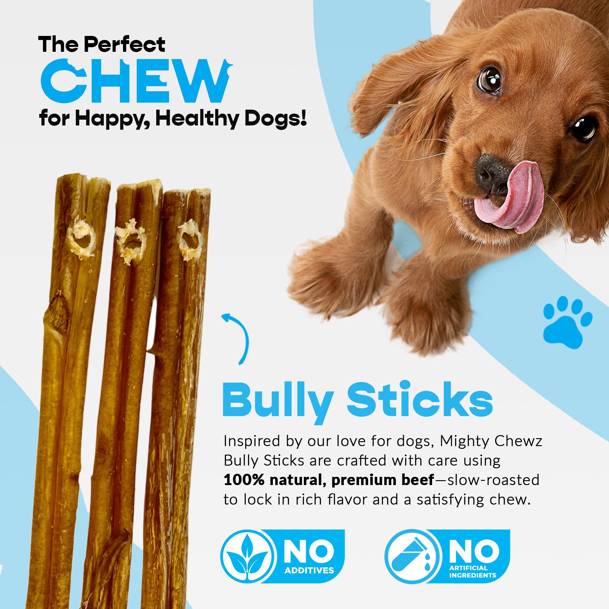 Bâton bully 7 pouces MIGHTY CHEWZ, meilleure hygiène dentaire et satisfaction canine
