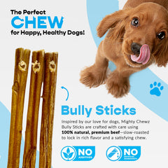 Bâton bully 7 pouces MIGHTY CHEWZ, meilleure hygiène dentaire et satisfaction canine