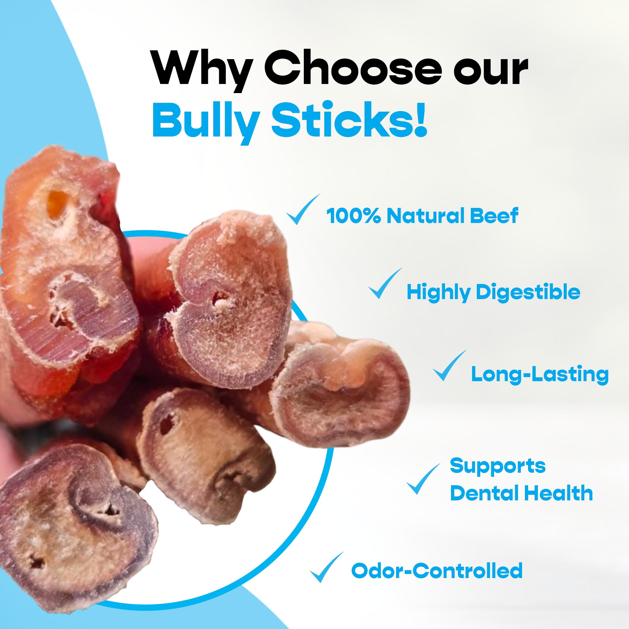 Gros plan sur le bâton bully 7 pouces MIGHTY CHEWZ, texture robuste