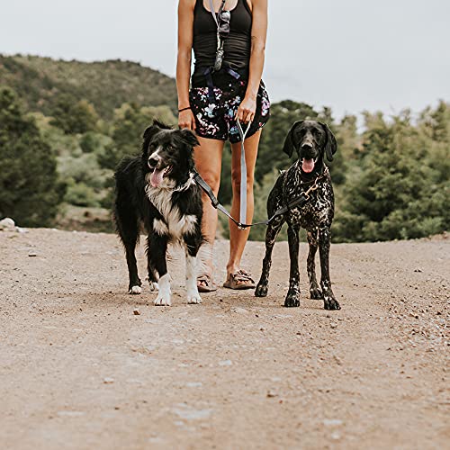 Aventure partagée Mighty Paw: promenade à deux chiens sans effort