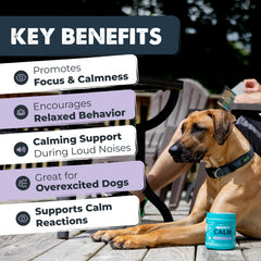 Mighty Paw bouchées apaisantes - dosage mélatonine 1 mg, idéal pour feux d'artifice.
