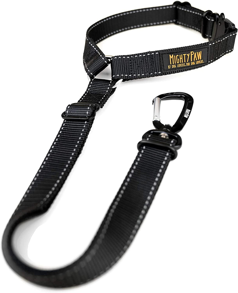 Mighty Paw ceinture chien voiture appui-tete pour une conduite plus sûre.