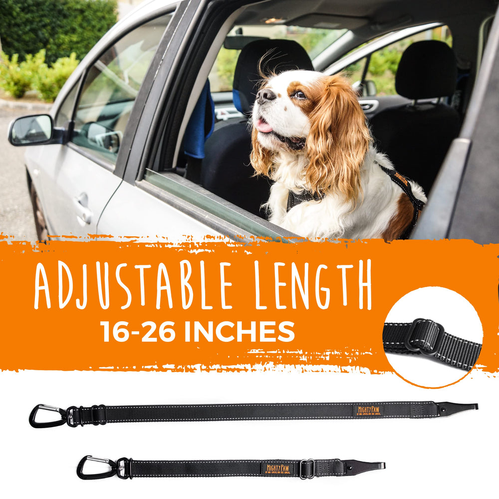 Mighty Paw, clip anti-enchevetrement performant pour confort constant.