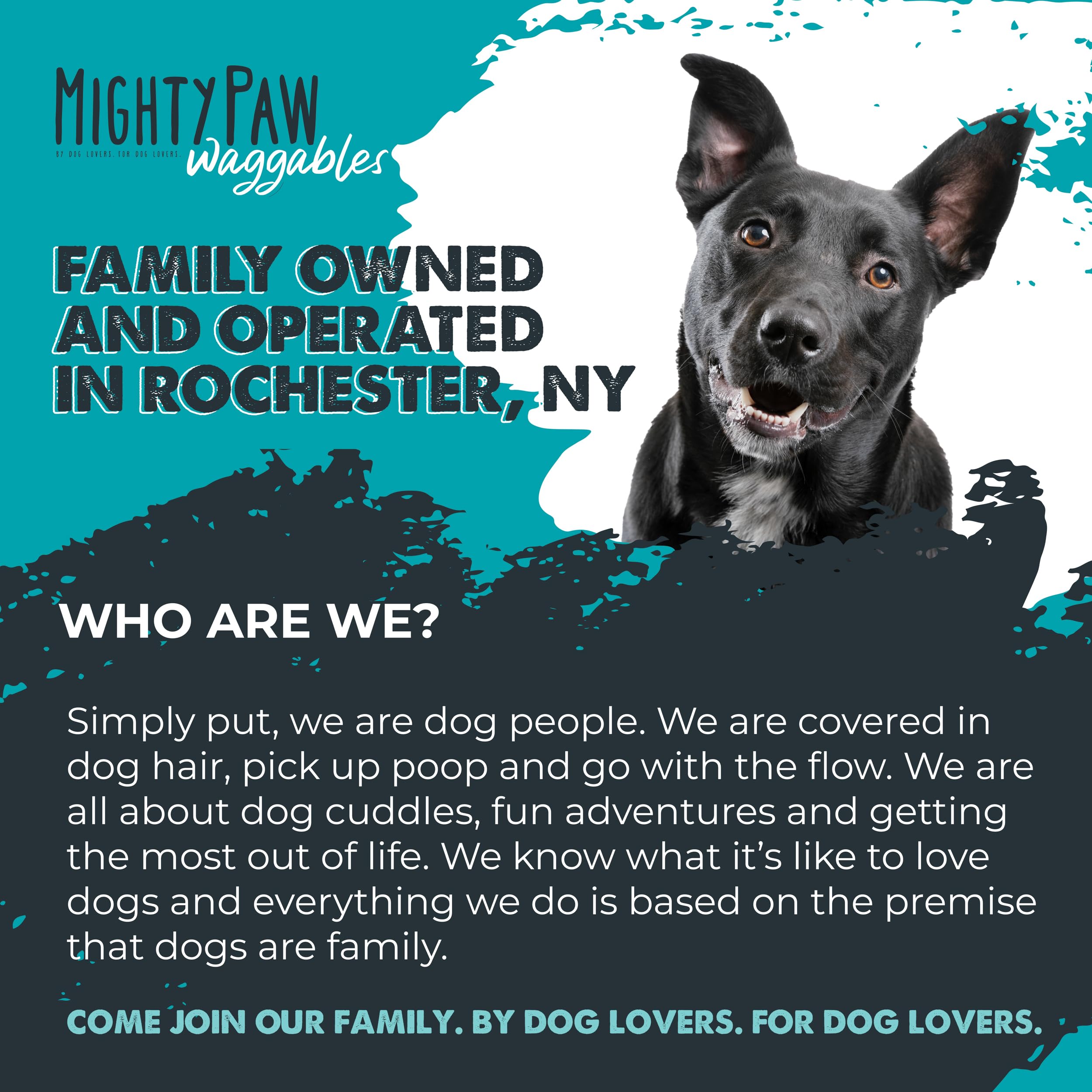 Conditionnement durable et stockage au frais pour Mighty Paw Cran-Bladder.