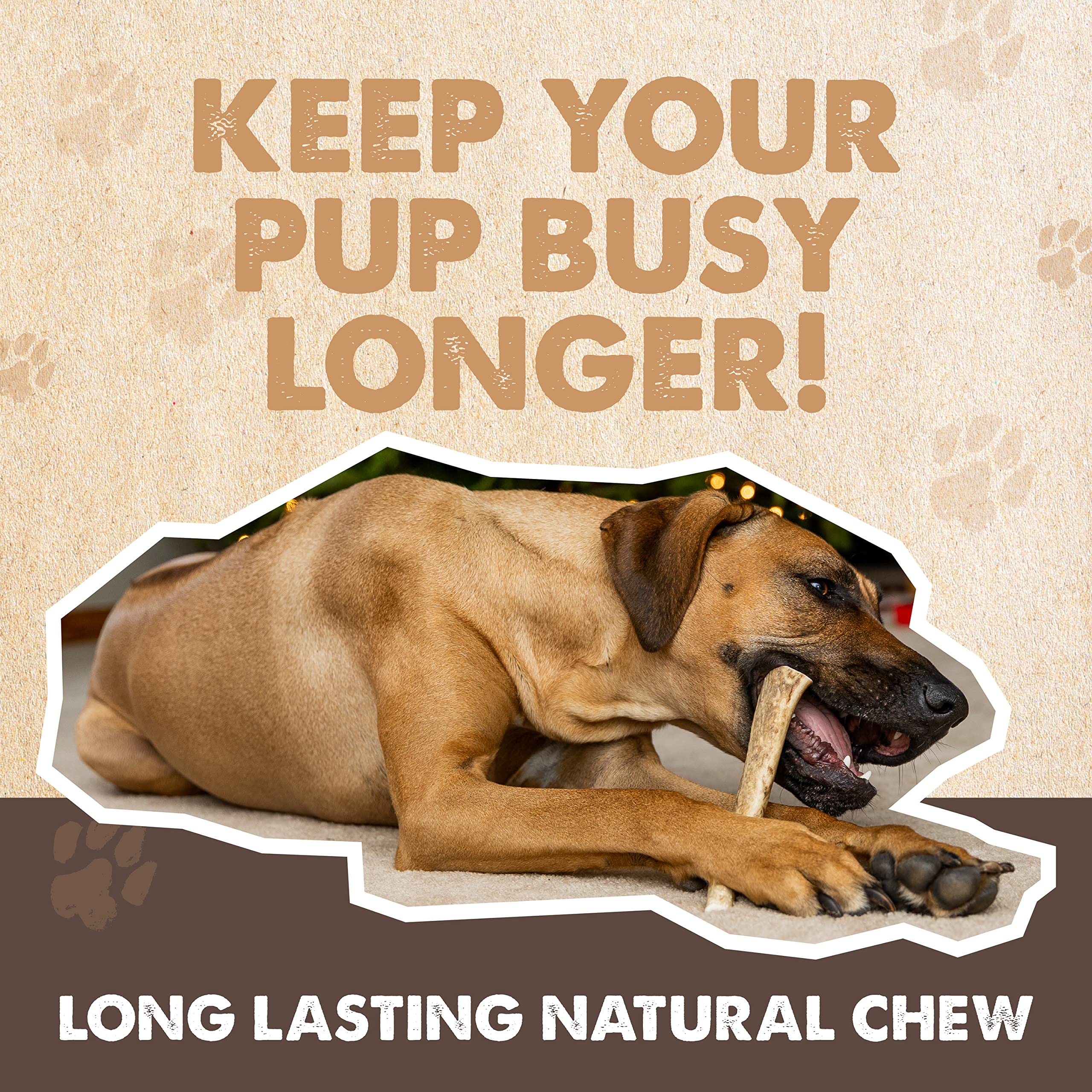 Mighty Paw Elans en tranche de 6 pouces pour varier la mastication.