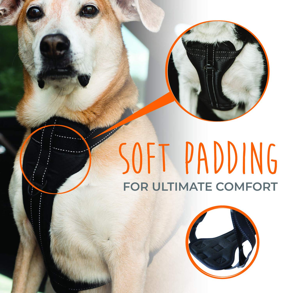 Mighty Paw Harnais Confort Rembourrage Respirant, confort lors des longues sorties.