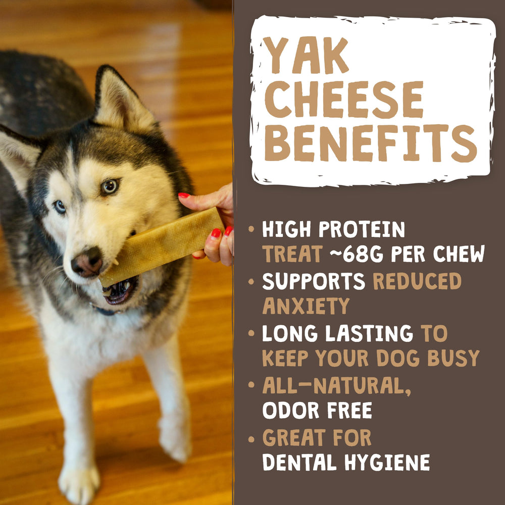Mighty Paw ingrédients-lait-yak-sel-citron-vert: ingrédients simples et digestibles