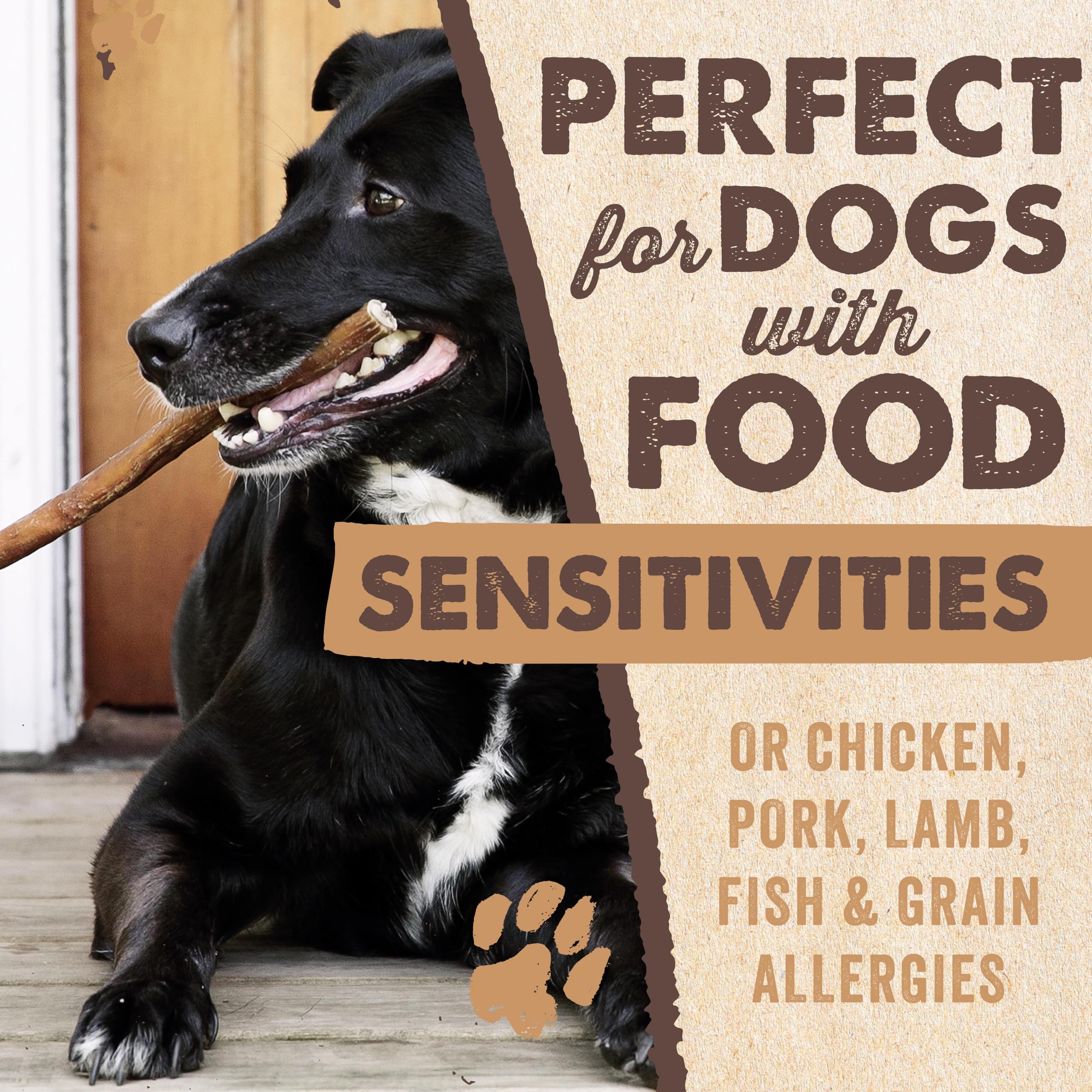 Mighty Paw Naturals : activité de mastication longue pour chiens actifs.