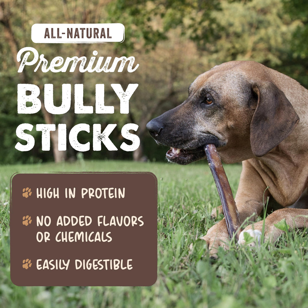 Mighty Paw Bully Sticks emballage pratique, réutilisable.
