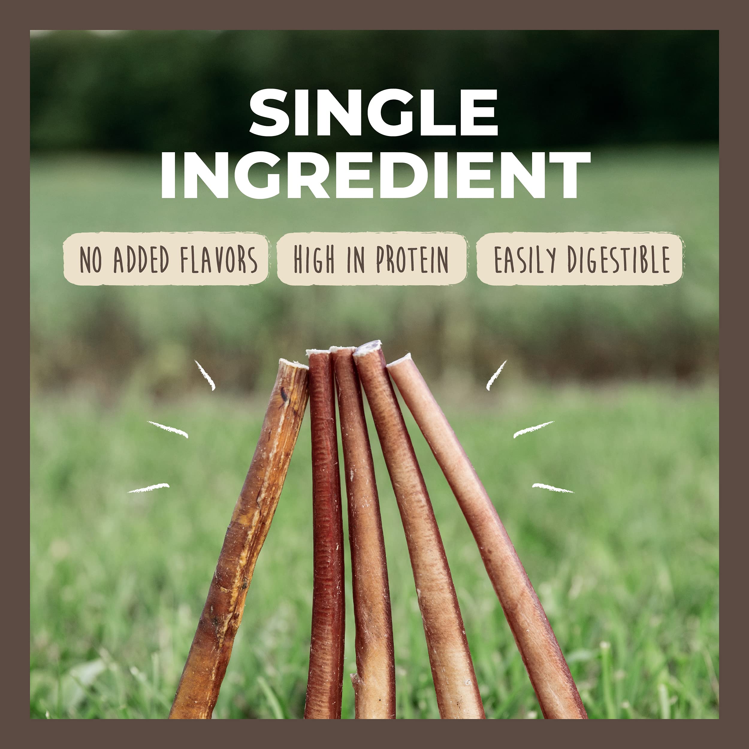 Mighty Paw Naturals Bully Sticks pour grand chien, récompense durable.