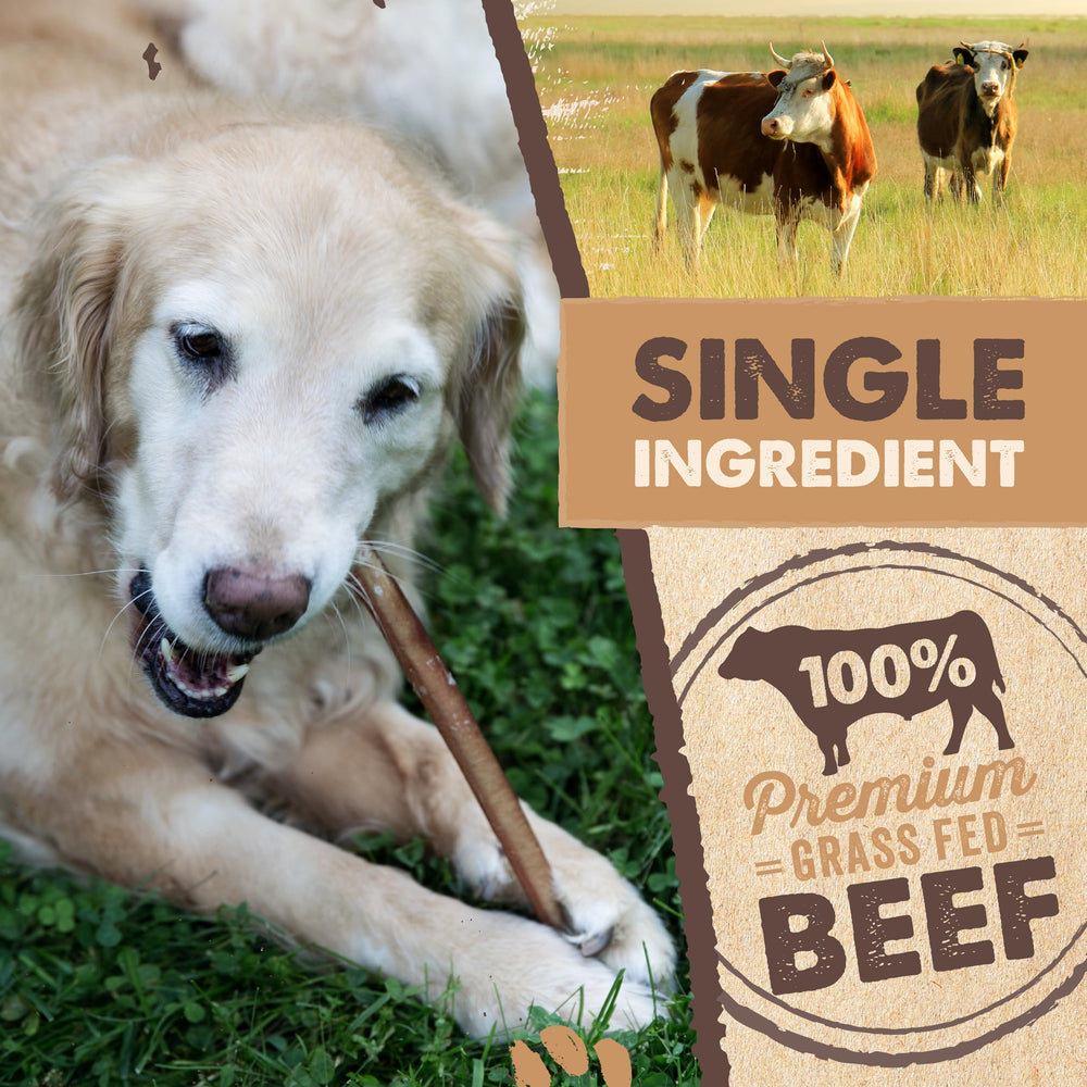 Mighty Paw Naturals Bully Sticks : odeur faible pour une collation discrète