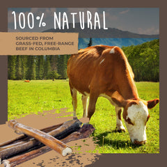 Mighty Paw Naturals Bully Sticks odeur faible, friandise discrète pour chiens.