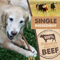 Mighty Paw Naturals Bully Sticks : odeur faible pour une collation discrète