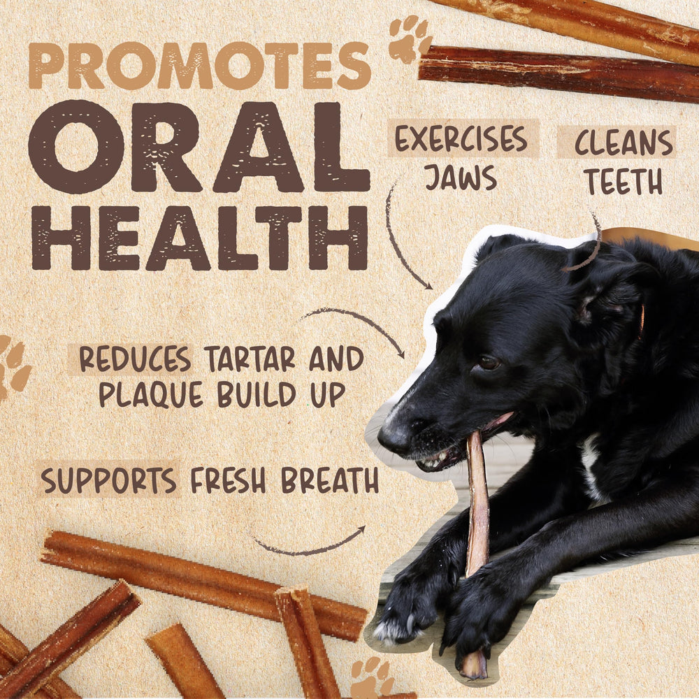 Mighty Paw Bully Sticks, odeur réduite pour chien.