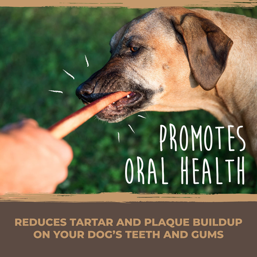 Mighty Paw Naturals Bully Sticks pour petit chien, format adapté et pratique.