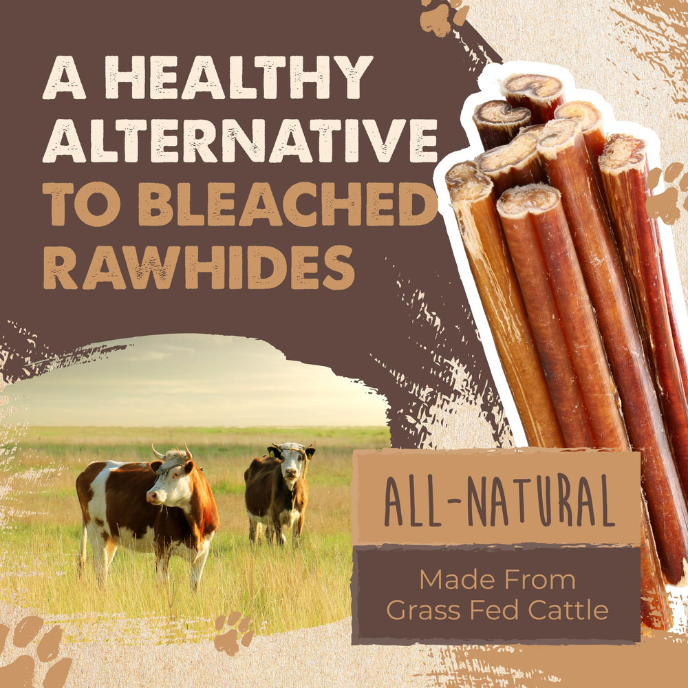 Sans conservateurs Mighty Paw Naturals: snack naturel pour chien