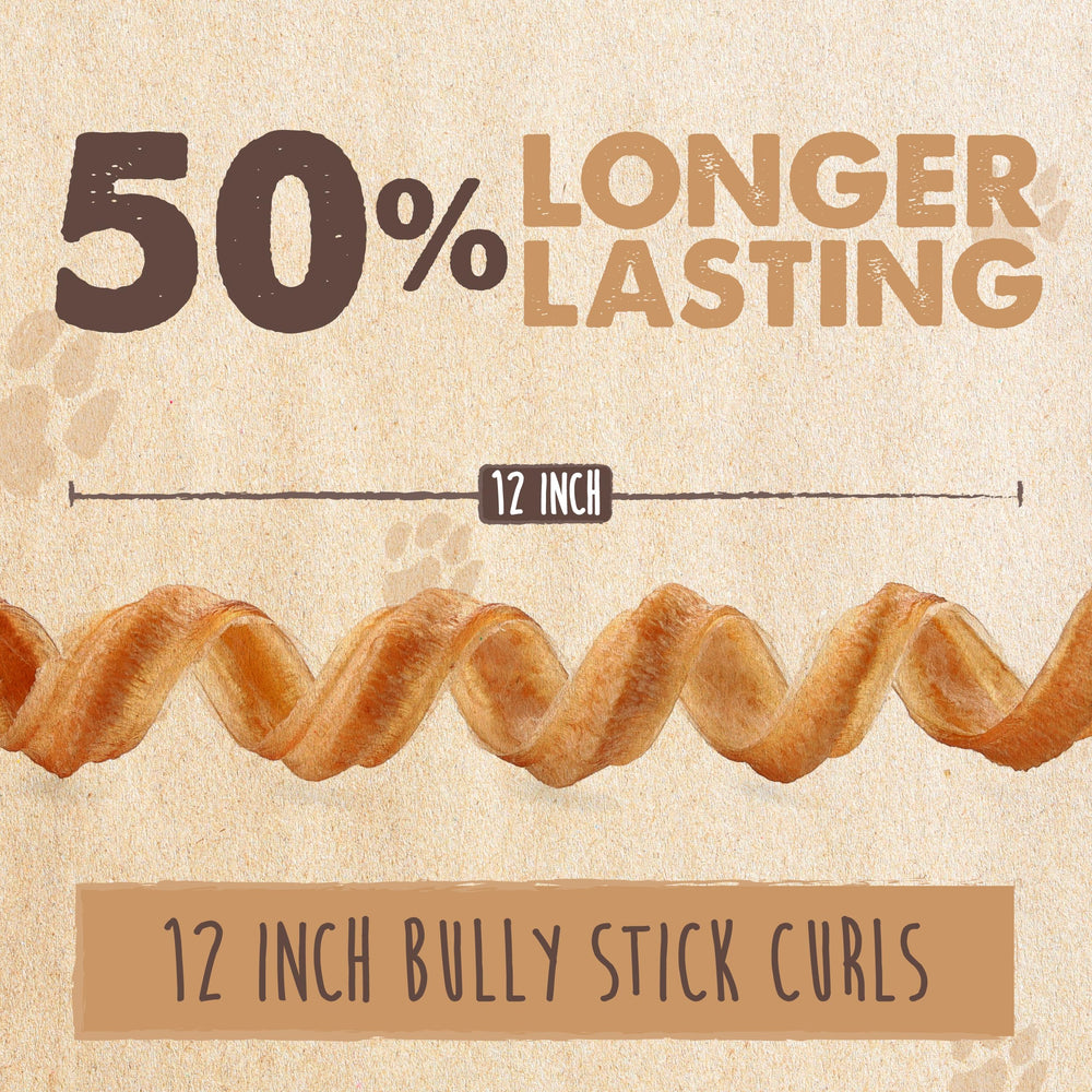 Curly Bully Stick occupe les chiens lors des jeux