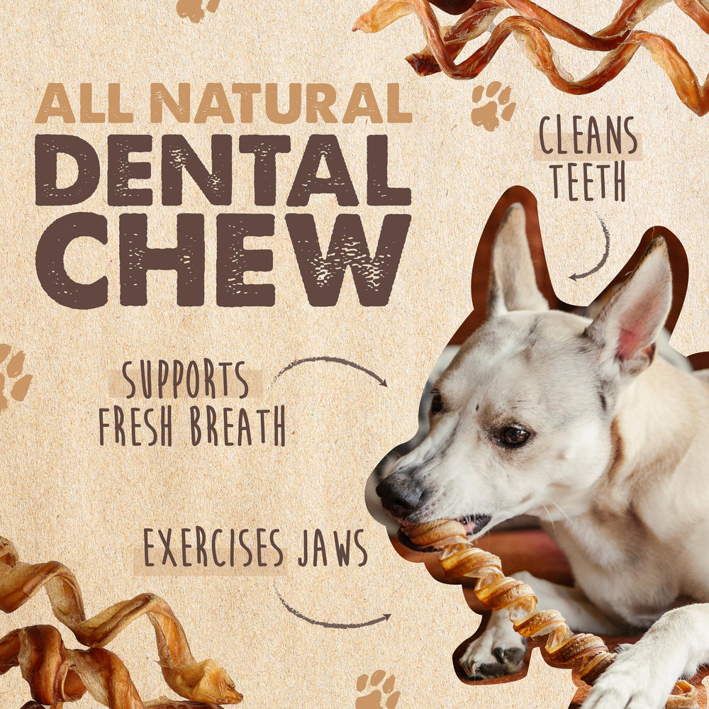 Texture en gros plan des curly bully sticks, naturel et digestible.