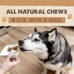 Chien heureux dégustant les pattes de poulet Mighty Paw Naturals, friandise naturelle.