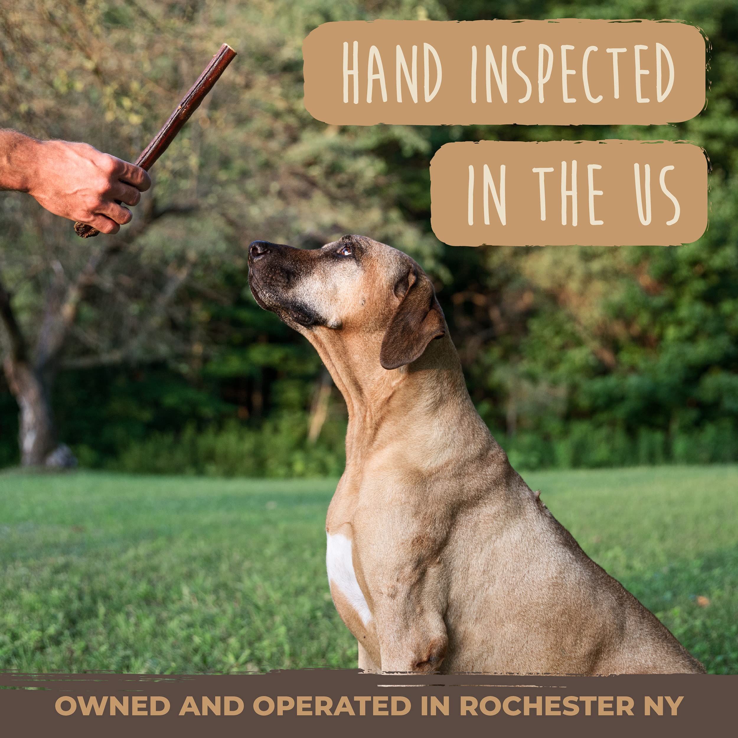 Mighty Paw Naturals usage quotidien pour chiens, récompense sécurisée et pratique.