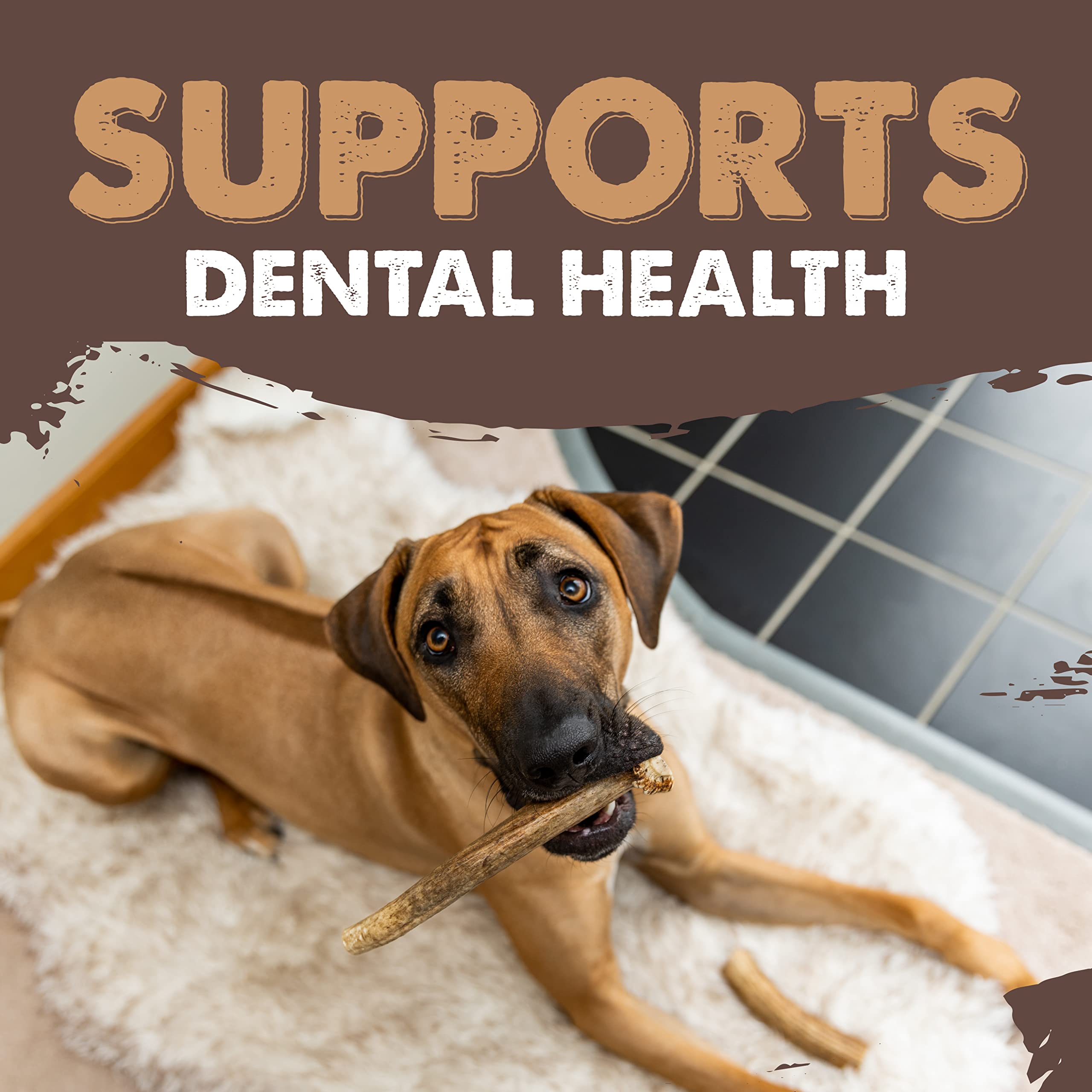 Mighty Paw pack 1 élans prêt à l’emploi pour chiens mordilleurs.