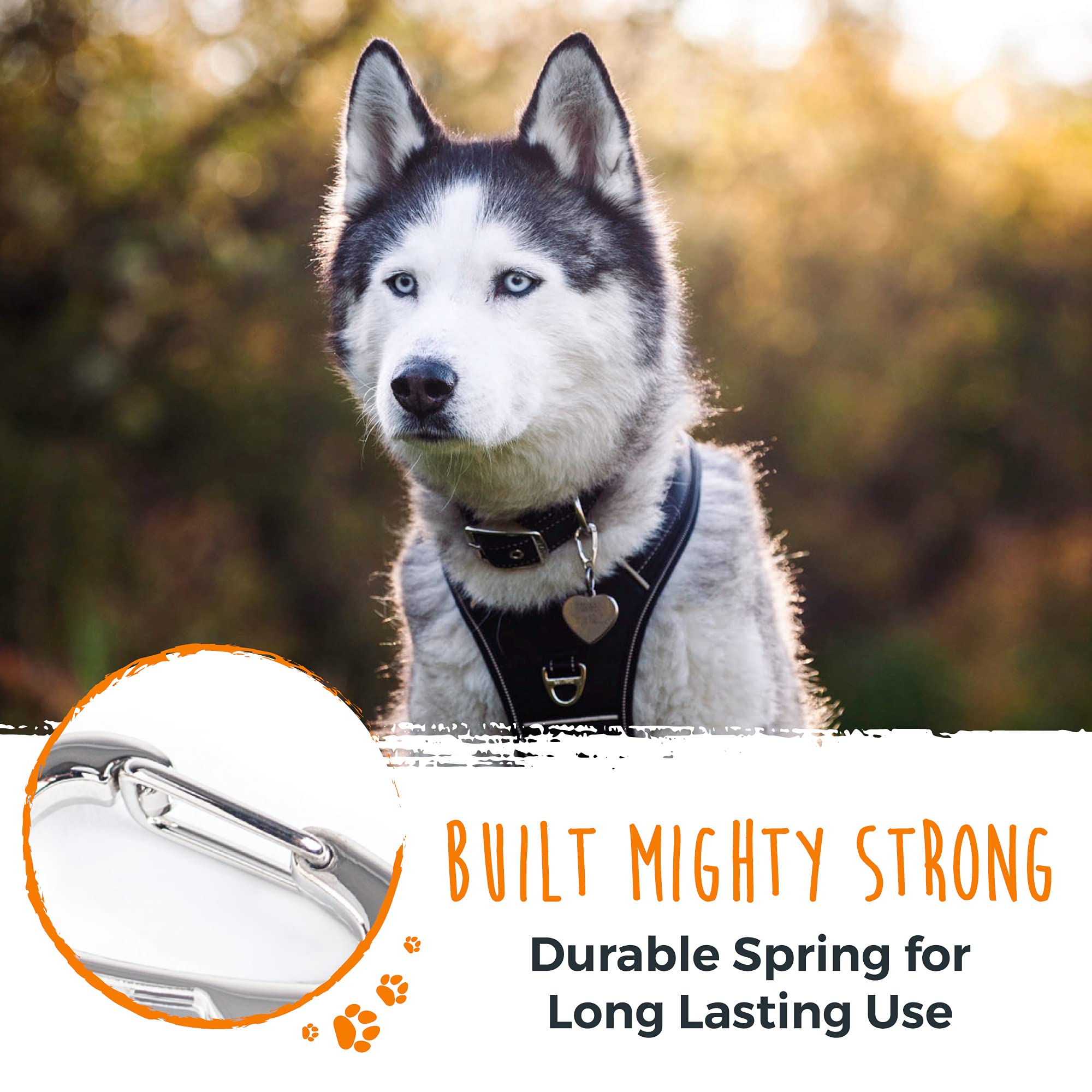Mighty Paw utilisation polyvalente sur colliers et accessoires.