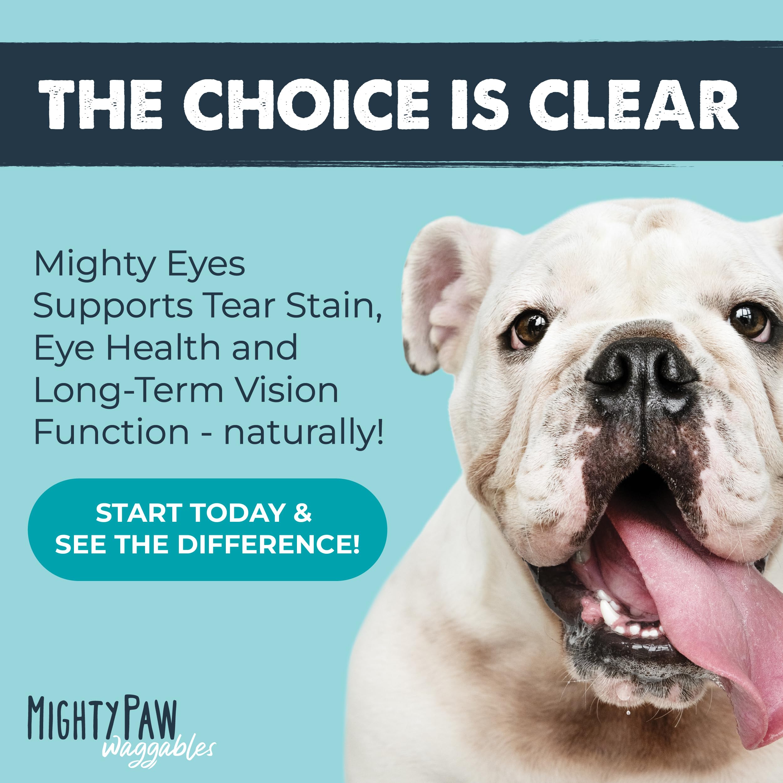 Chien heureux recevant une bouchée Mighty Paw Waggables Eyes, moment de soin.