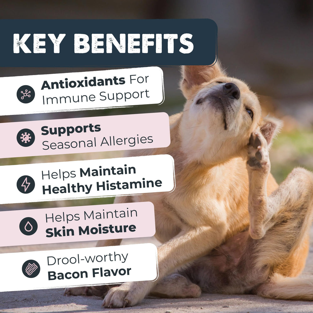 Mighty Paw Waggables gout bacon-chews: friandises savoureuses facilitant l’administration.