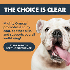 Mighty Paw Mighty Omega – chien savourant friandises, dégustation agréable lors des repas.