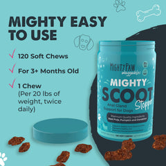 Mighty Scoot, pulpe de betterave : fibres soutenant le transit