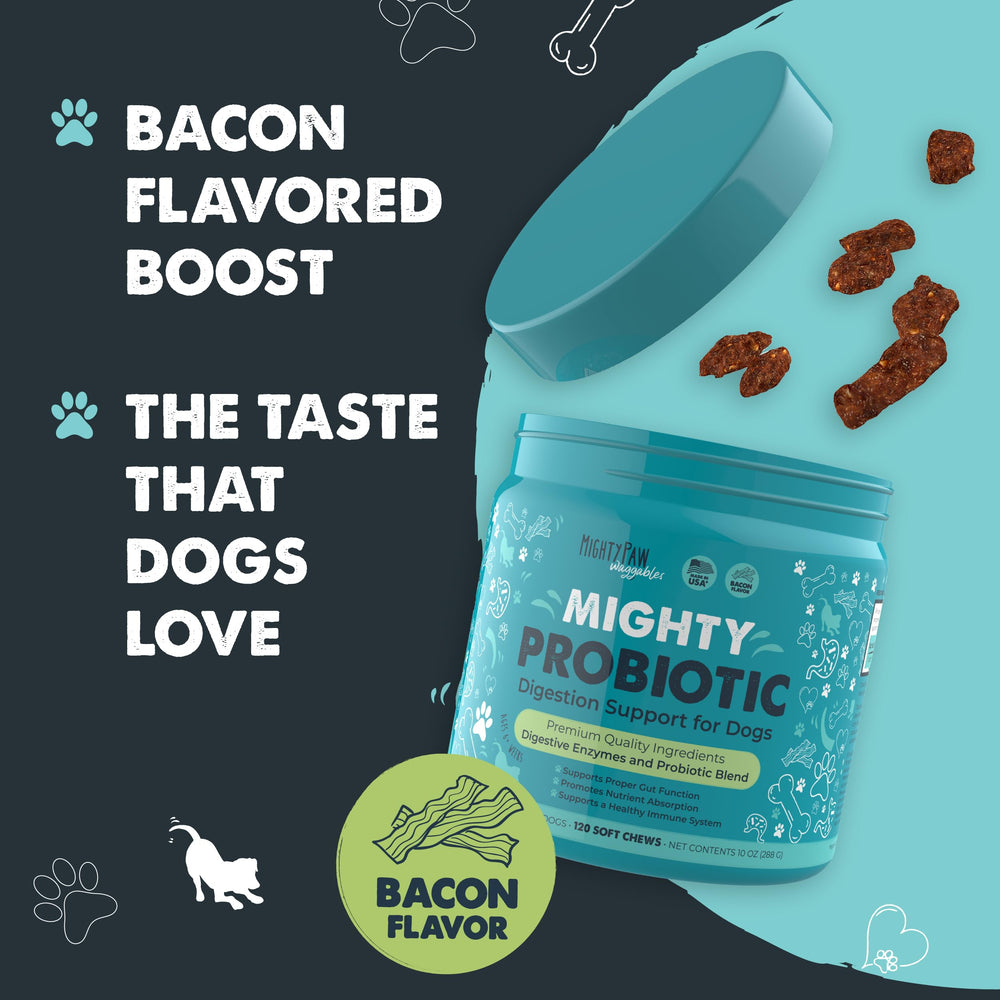 Chien heureux après avoir mâché Mighty Paw Waggables; goût bacon apprécié