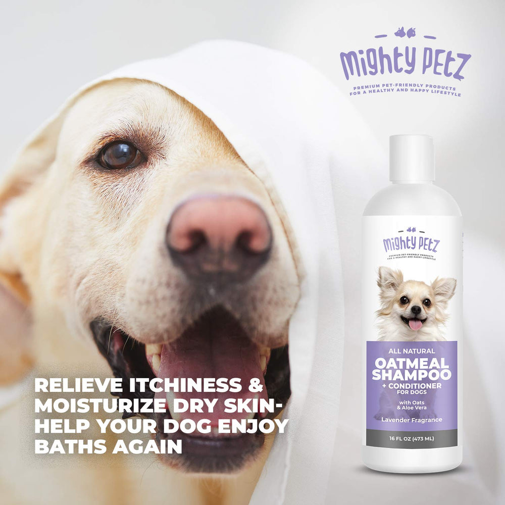 Cinq avantages du pelage avec lavande lors du bain Mighty Petz.